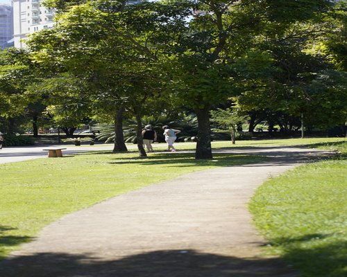 People walking casually on a shaded pathway in a city park
